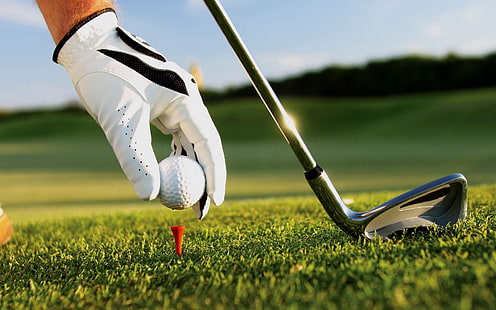 серый гольф-клуб, гольф, спорт, спорт, перчатки, мячи, HD обои HD wallpaper