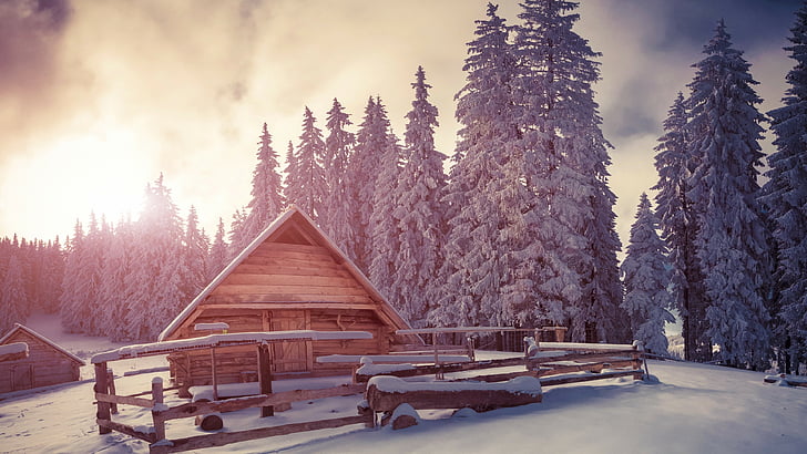 foto kabin kayu coklat dikelilingi oleh pohon-pohon selama musim dingin, Pines, 4k, wallpaper HD, salju, matahari terbenam, rumah, Wallpaper HD