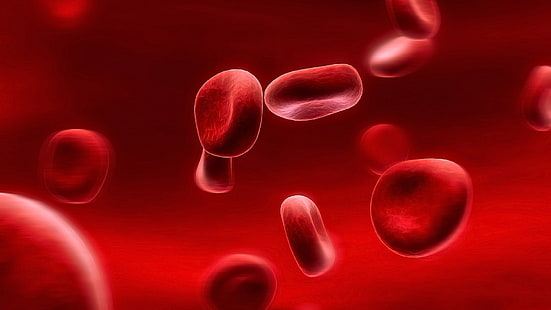 Glóbulos rojos, rojo, sangre, células, Fondo de pantalla HD HD wallpaper