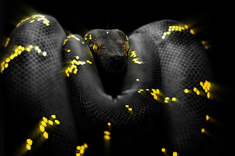 Serpiente, Ojos, Cabeza, Pitón, Arte, por Ben Judd, Ben Judd, Serpiente Surrealista, Fondo de pantalla HD HD wallpaper