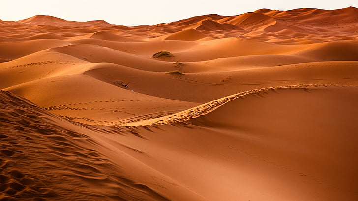 desert, sandy, sand, dune, sand dunes, HD wallpaper