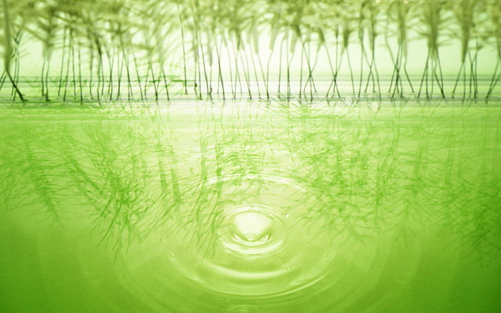 Tętnienia zielonej wody, zielony zbiornik wodny, fotografia, 1920x1200, woda, marszczyć, Tapety HD