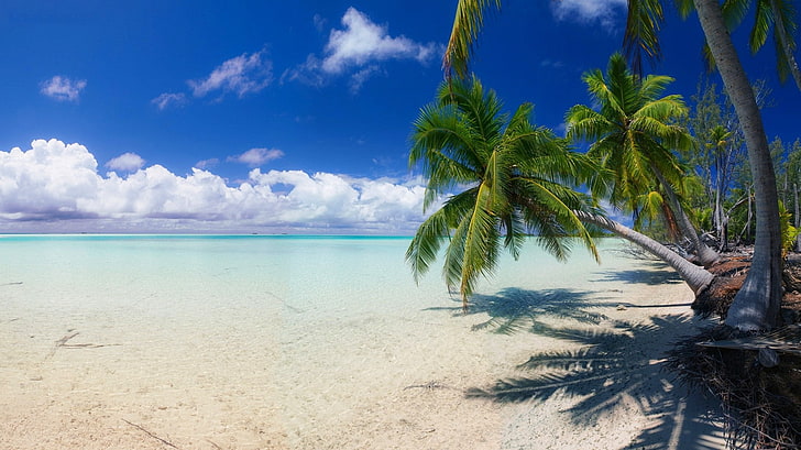 nature, landscape, beach, white, sand, island, palm trees, sea, clouds, tropical, summer, HD wallpaper