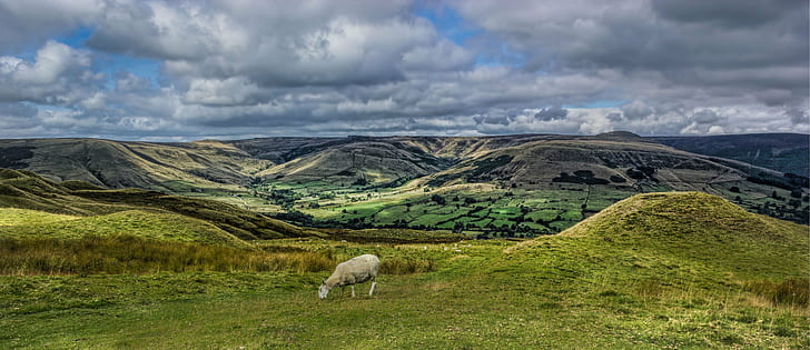 white sheep on grass field over looking hills at day time, sheep, lonely, sheep, white, grass, field, hills, day, time, hdr, Peak District National Park, sky, cloudy, nature, mountain, landscape, hill, scenics, outdoors, HD wallpaper