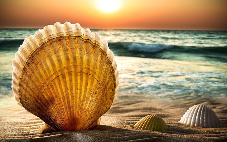 beach, bokeh, horizon, sand, sea, shells, sky, sun, sunset, water, wave, HD wallpaper
