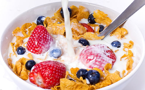 Frühstück, Essen, Leben, Essen, Morgen, noch, HD-Hintergrundbild HD wallpaper