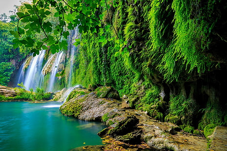 obraz 4k lasów tropikalnych fajny, Tapety HD HD wallpaper