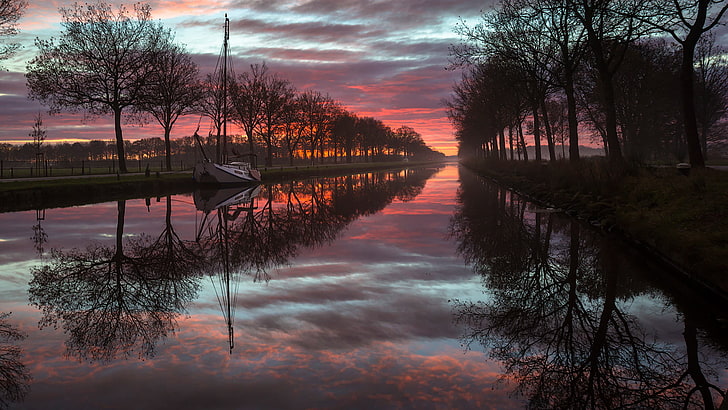 Nature, Landscape, Fog, Nederland, Friesland, HD wallpaper