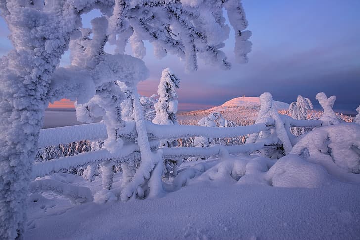 zima, śnieg, drzewa, płot, śnieg, Finlandia, Laponia, Tapety HD