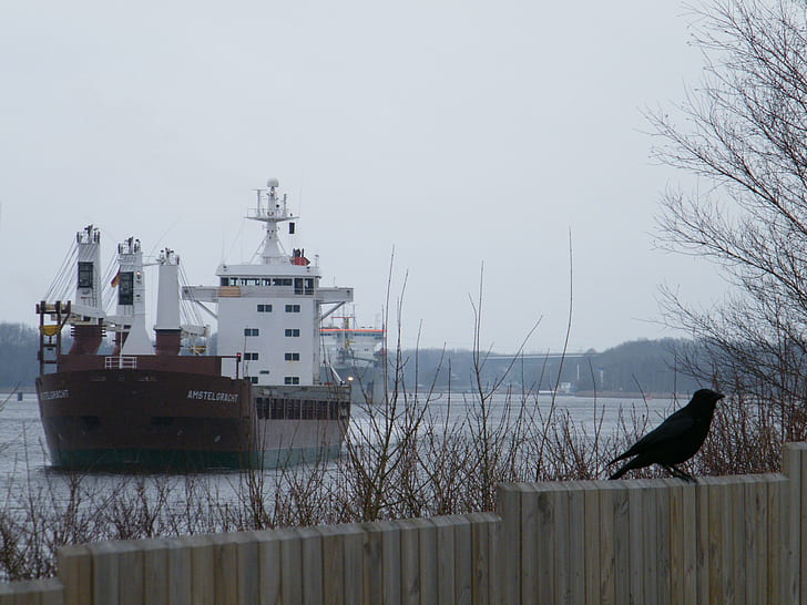 Container ship_1, น้ำ, คอนเทนเนอร์, แม่น้ำ, เรือ, เรือคอนเทนเนอร์, วอลล์เปเปอร์ HD
