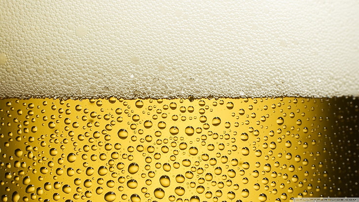 прозрачная стеклянная пивная кружка, пиво, алкоголь, напиток, HD обои