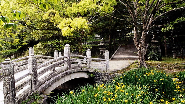 흰 콘크리트 다리, 다리, 잔디, 공원, 꽃, HD 배경 화면
