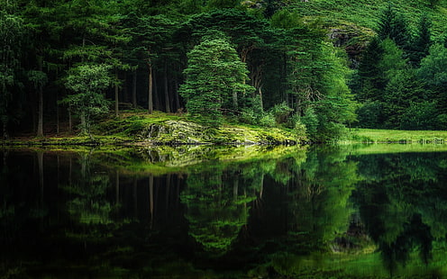 зеленые лиственные деревья, природа, пейзаж, зеркало, вода, озеро, лес, трава, холмы, весна, отражение, зеленый, деревья, HD обои HD wallpaper