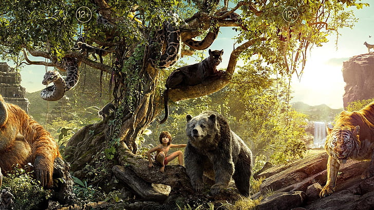 The Jungle Book, Disney movie 2016, Jungle, Book, Disney, Movie, 2016, HD wallpaper