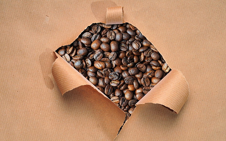 กาแฟถ้วยเครื่องดื่มน่ารักธรรมชาติพืชเมล็ดพันธุ์, วอลล์เปเปอร์ HD