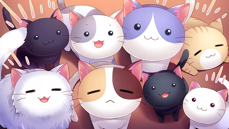 cat, Nyan Cafe Macchiato, Visual Novel, HD wallpaper