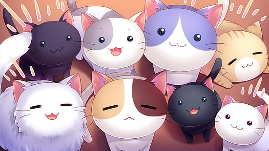 gato, Nyan Cafe Macchiato, Visual Novel, HD papel de parede HD wallpaper