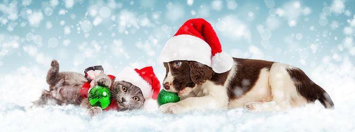 animal, baby, cat, christmas, dog, hat, kitten, ornaments, puppy, santa, snow, snowfall, HD wallpaper