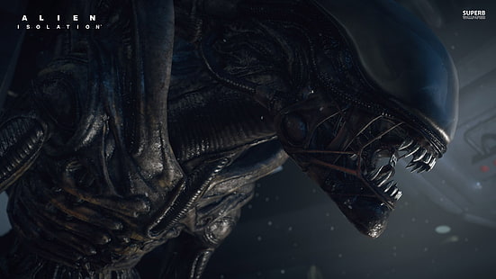 Fond d'écran numérique Alien VS Predator, Alien: Isolation, Xenomorph, jeux vidéo, extraterrestres, Fond d'écran HD HD wallpaper
