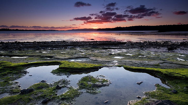 Sunset In Low Tide, beach, low tide, pools, sunset, nature and landscapes, HD wallpaper