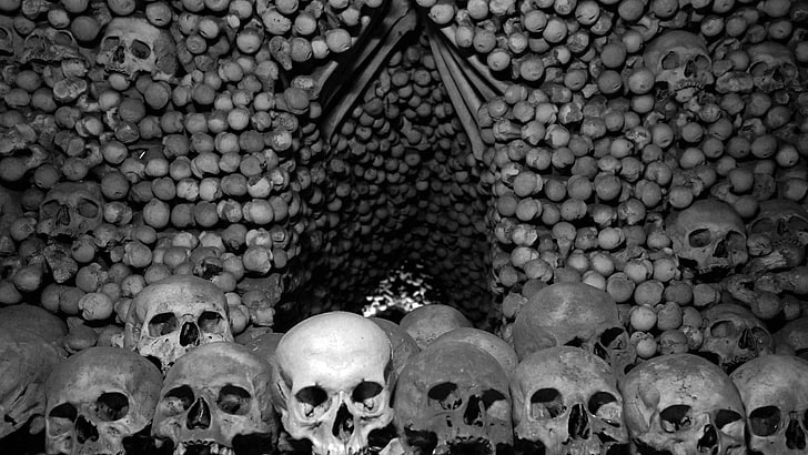 skull, bones, Czech Republic, monochrome, HD wallpaper