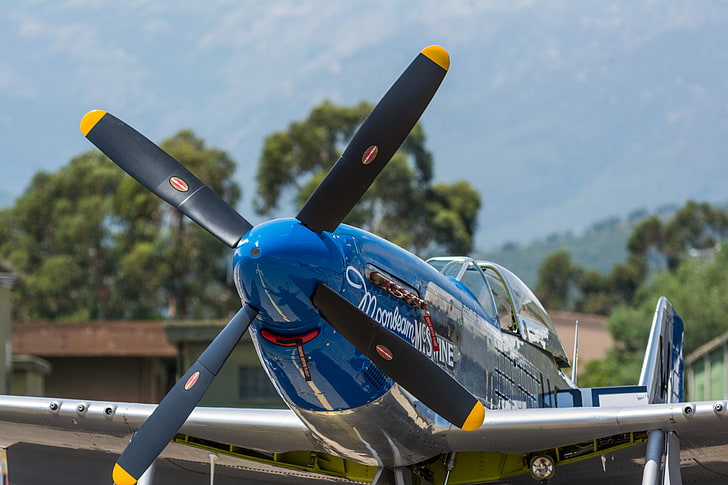 aereo blu e grigio, aereo, airshow, militare, Mustang nordamericano P-51, Sfondo HD