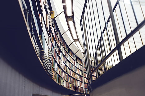 Assorted-Title-Book-Lot, Bibliothek, Bücher, Gebäude, Architektur, HD-Hintergrundbild HD wallpaper