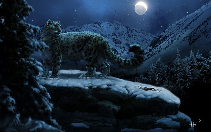black and brown leopard illustration, snow leopards, moon, winter, HD wallpaper