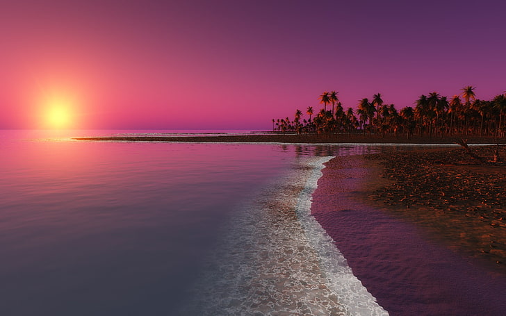 großes gewässer, natur, palmen, meer, strand, insel, HD-Hintergrundbild