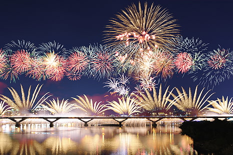 fireworks display illustration, the sky, night, bridge, the city, lights, fireworks, HD wallpaper HD wallpaper