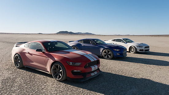 Drei farbige Ford Mustang GT, Auto, Ford Mustang, Grand Tour, GT350R, Ford, Roush, HD-Hintergrundbild HD wallpaper