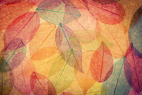 folhas laranja, vermelhas e azuis imprimir têxtil, folhas, plano de fundo, colorido, resumo, outono, transparente, HD papel de parede HD wallpaper