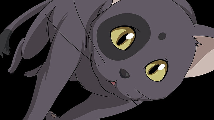 black anime cat, anime, cat, Code Geass, HD wallpaper