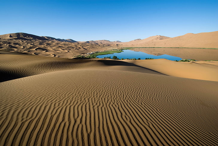 пустинни дюни, пустиня, пясък, шарки, линии, оазис, езеро, крайбрежие, растителност, HD тапет