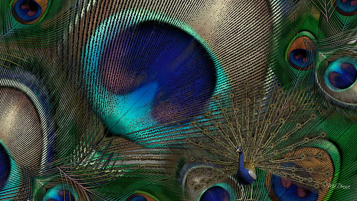孔雀の羽、キジ、エキゾチック、クジャク、明るい、鳥、美しい、羽、3 dおよび抽象、 HDデスクトップの壁紙