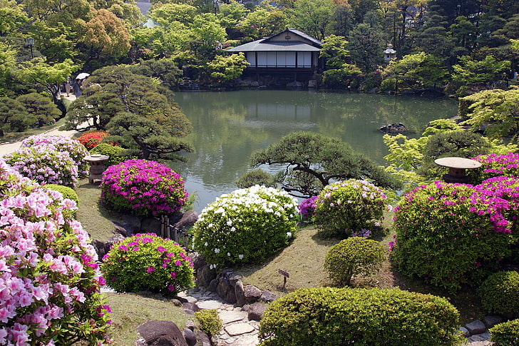pond during daytime, flowers, house, Japanese garden, HD wallpaper