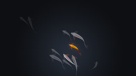 koi, ryba, ciemny, byrotek, Tapety HD HD wallpaper