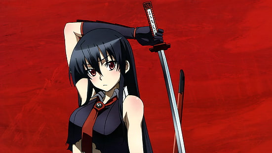Akame ga Kill Katana ผู้หญิงผมดำที่มีตัวละครอนิเมะดาบ Akame ga Kill, วอลล์เปเปอร์ HD HD wallpaper