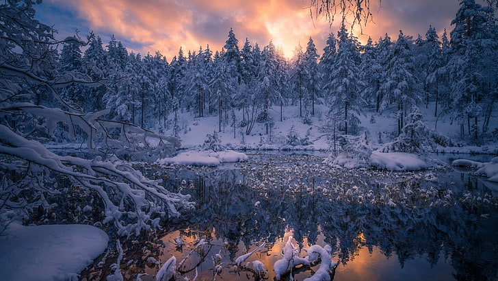 winterlicher, ringerike, beschaffenheit, schnee, wildnis, norwegen, himmel, europa, HD-Hintergrundbild