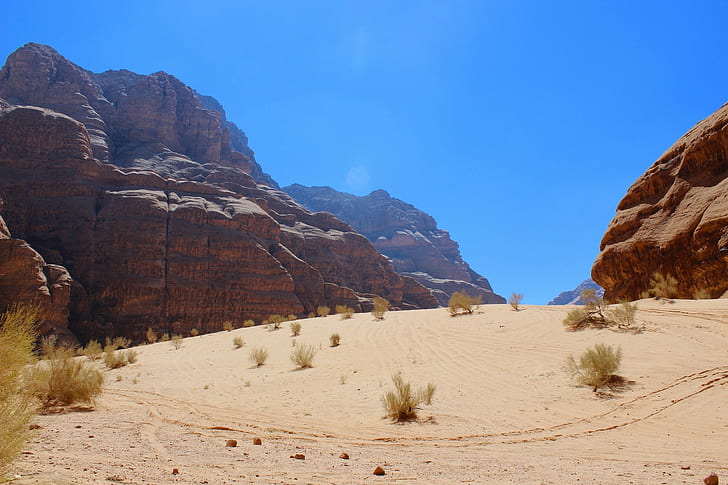 Wüste, Sand, Sträucher, Felsen, klarer Himmel, Cyan, Tageslicht, HD-Hintergrundbild