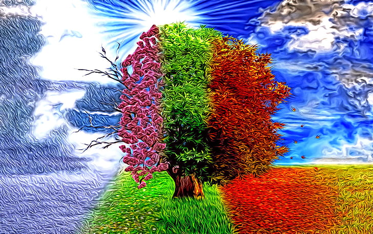 abstraction, rendering, fantasy, tree, seasons, art, winter-spring-summer-autumn, HD wallpaper