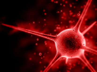 빨간 박테리아, 예술, 뉴런, 레드, HD 배경 화면 HD wallpaper