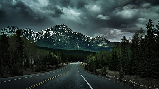 montagnes de la route de la forêt sombre, Fond d'écran HD HD wallpaper