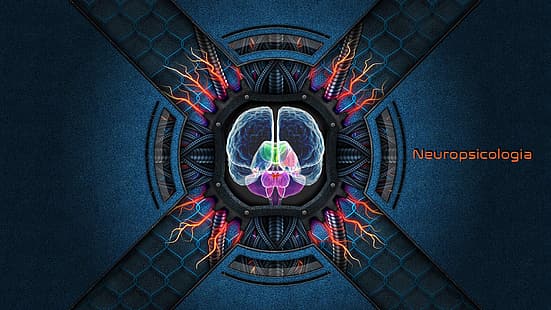 Neuronen, Neuropsie, Gehirn, Psykologie, HD-Hintergrundbild HD wallpaper