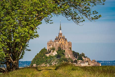 деревья, скала, Франция, крепость, Нормандия, Мон-Сен-Мишель, HD обои HD wallpaper