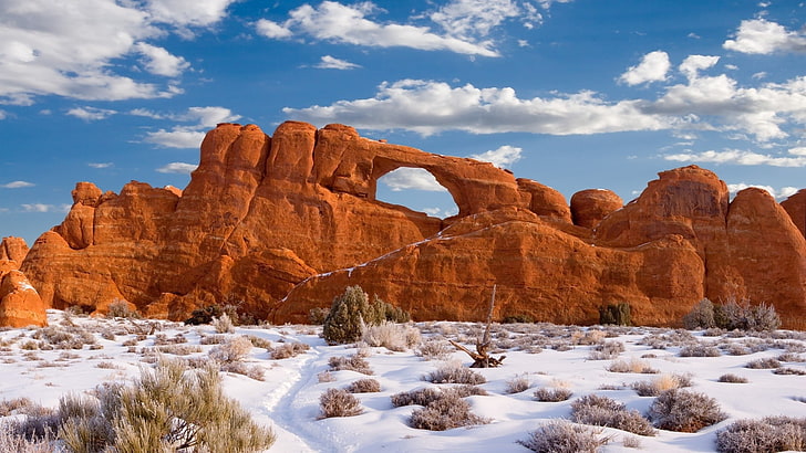 nature, rock, canyon, landscape, travel, stone, mountain, sky, desert, valley, park, cliff, tourism, natural object, national, object, rocks, sand, ravine, mountains, scenic, sandstone, grave, outdoor, wilderness, erosion, outdoors, summer, sea, water, natural, utah, geology, vacation, geological formation, usa, landmark, tourist, coast, formation, HD wallpaper