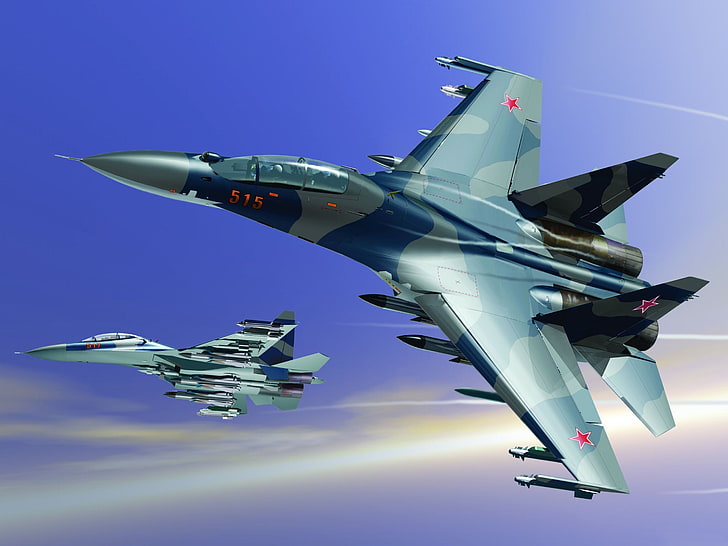 blue and gray camouflage jet fighters, the plane, fighter, art, BBC, types, OKB, Russian, multipurpose, Dry, for, Soviet, shock, double, action, designed, the air, Russia., developer, ensure, upgraded, commercial, SU-30MK, application, group, ASP, surface, domination, use, opportunity, unmanaged, ground, bumps, managed, goals, conquest, HD wallpaper