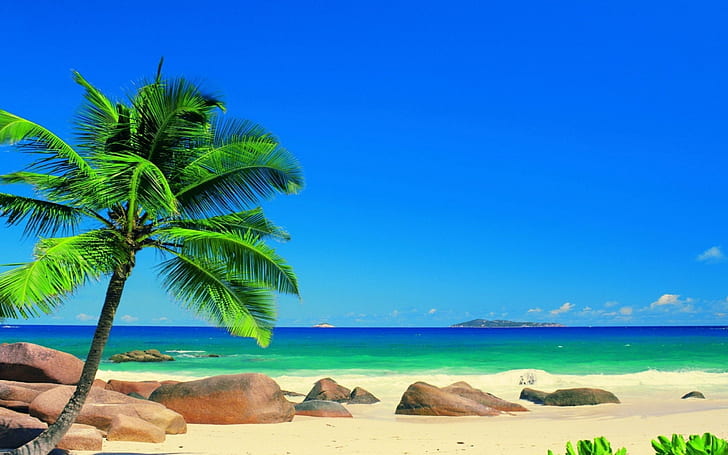 Paisajes Playa Mar 2560 × 1600, Fondo de pantalla HD