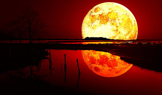 Bulan darah, Wallpaper HD HD wallpaper