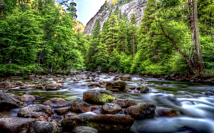Leito de rio montanhoso bonito com floresta de pinheiros-rochas com árvores verdes-Parque Parque Nacional de Yosemite-Califórnia-EUA-Desktop HD Wallpaper-5200 × 3250, HD papel de parede